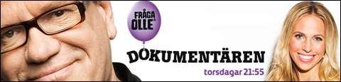 Karlavagnen