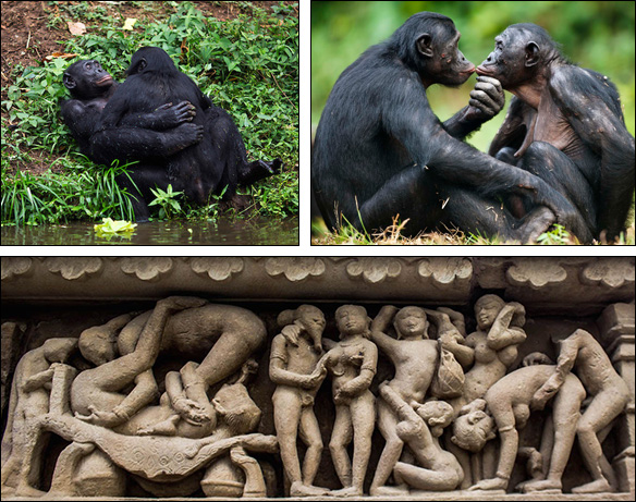 Bonobos & älskogsskulpturer